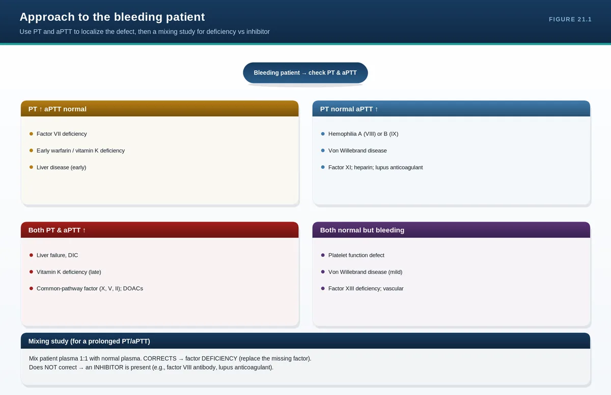Approach to the bleeding patient