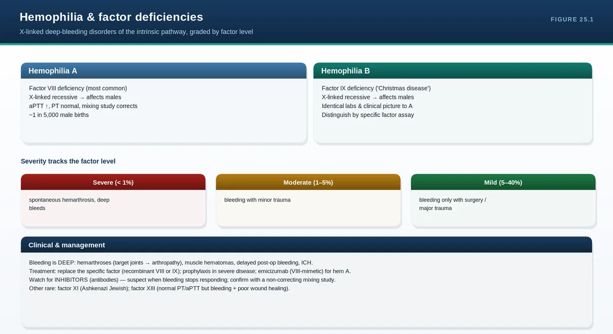 Hemophilia & factor deficiencies