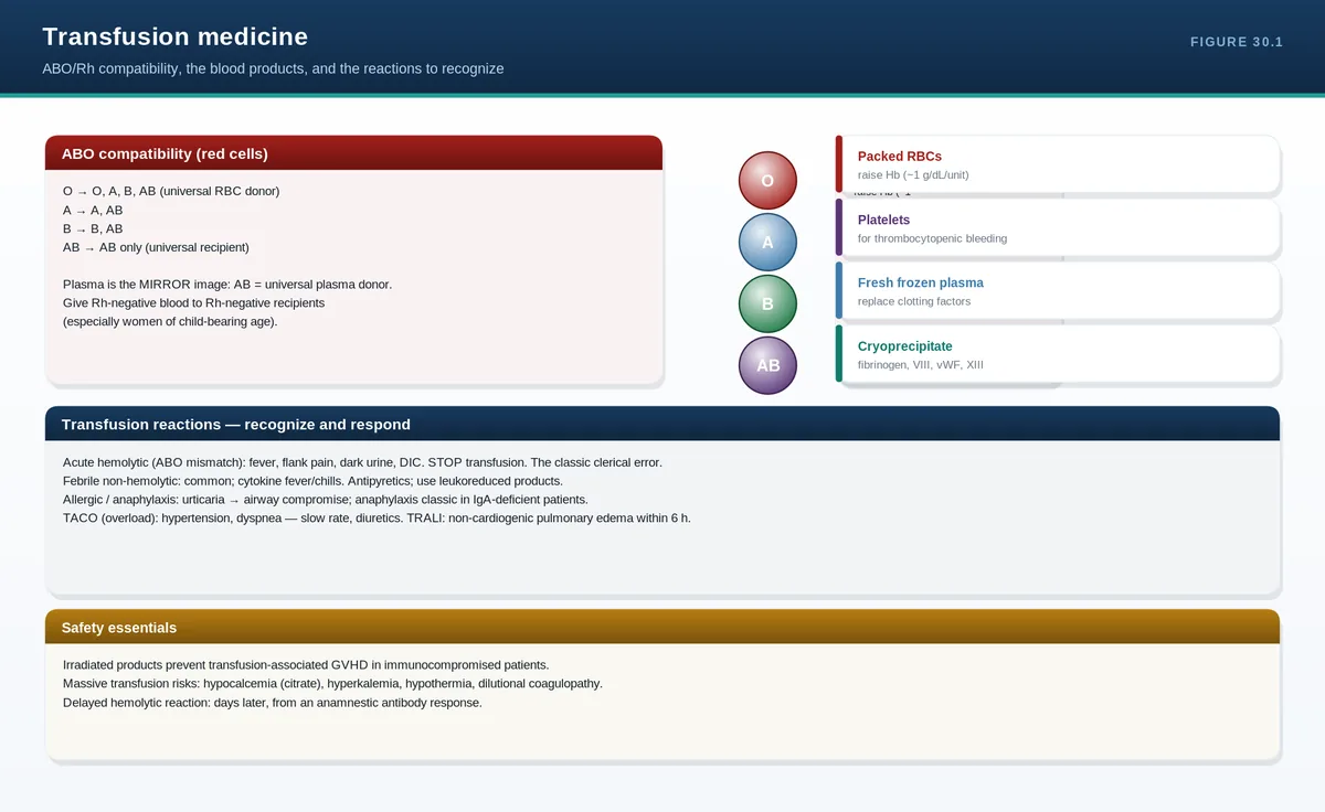 Transfusion medicine