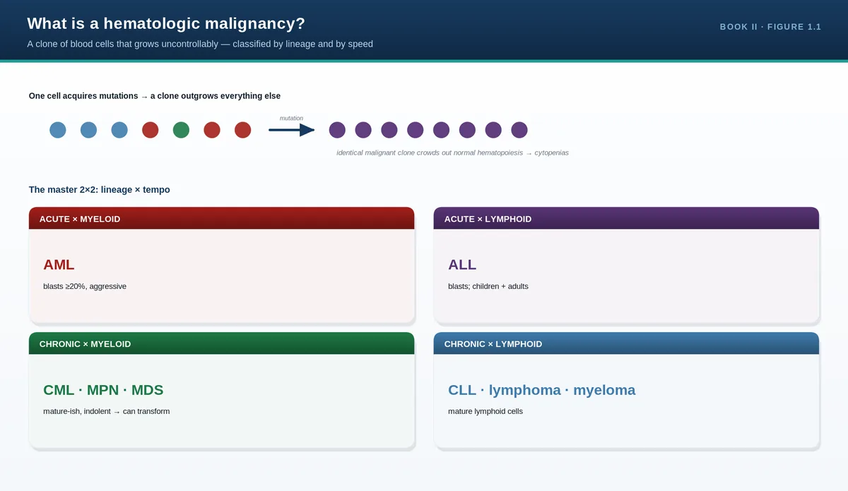What is a hematologic malignancy?