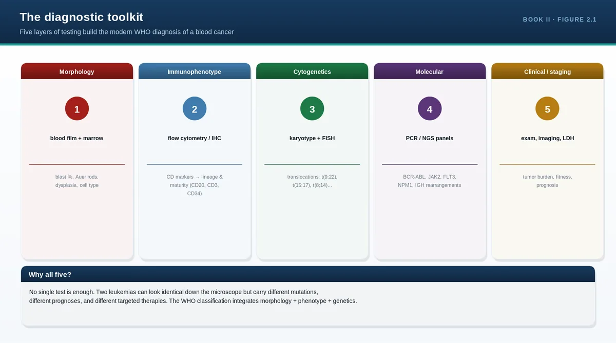 The diagnostic toolkit
