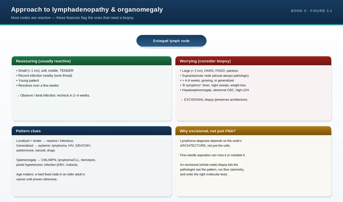 Approach to lymphadenopathy & organomegaly