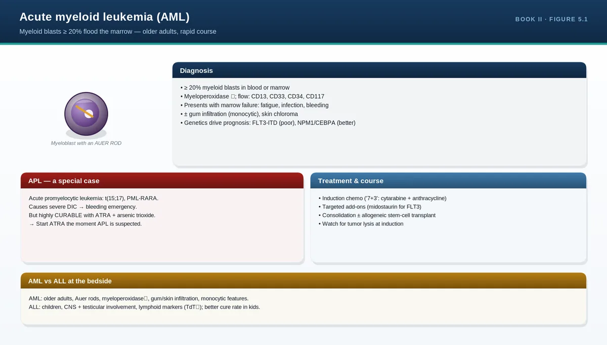 Acute myeloid leukemia (AML)