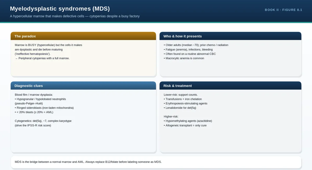 Myelodysplastic syndromes (MDS)