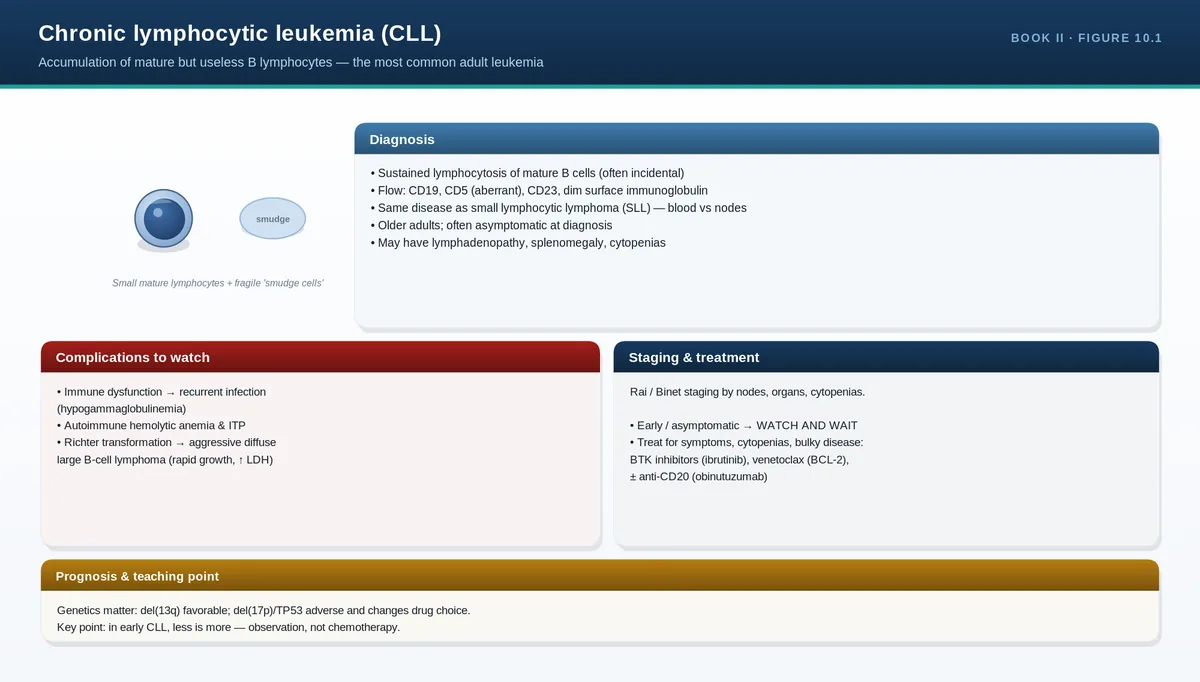 Chronic lymphocytic leukemia (CLL)