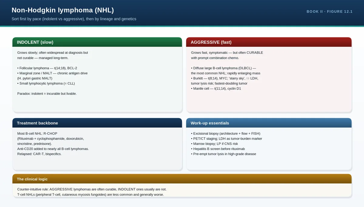 Non-Hodgkin lymphoma (NHL)