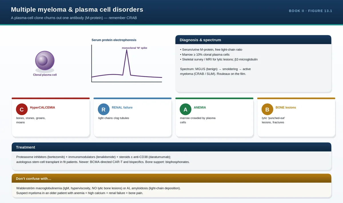 Multiple myeloma & plasma cell disorders