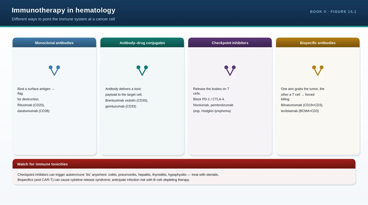 Immunotherapy in hematology