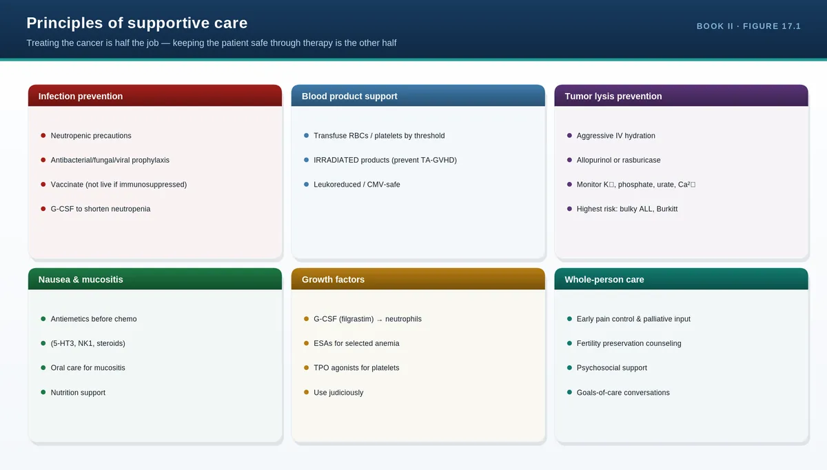 Principles of supportive care