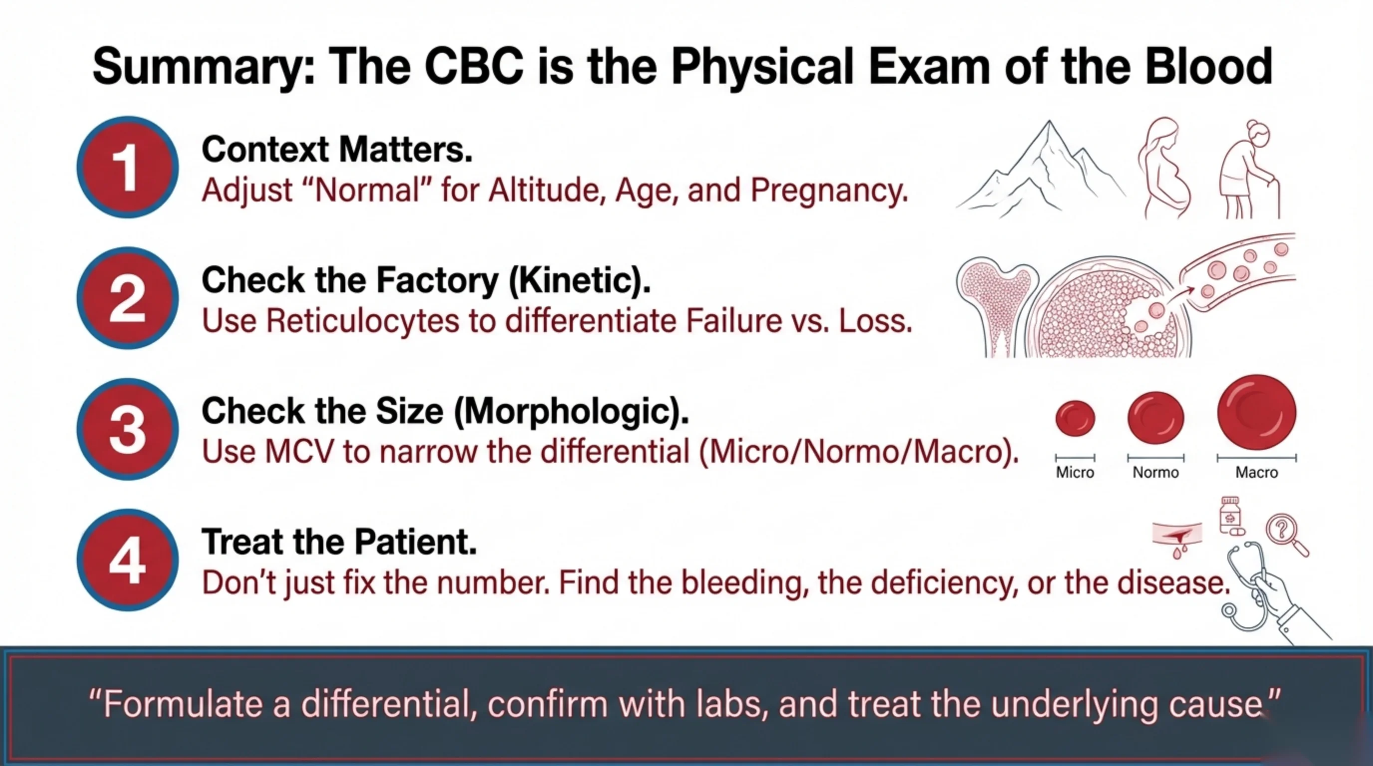 Four-point numbered summary of the diagnostic approach to anemia, ending with a quote banner.