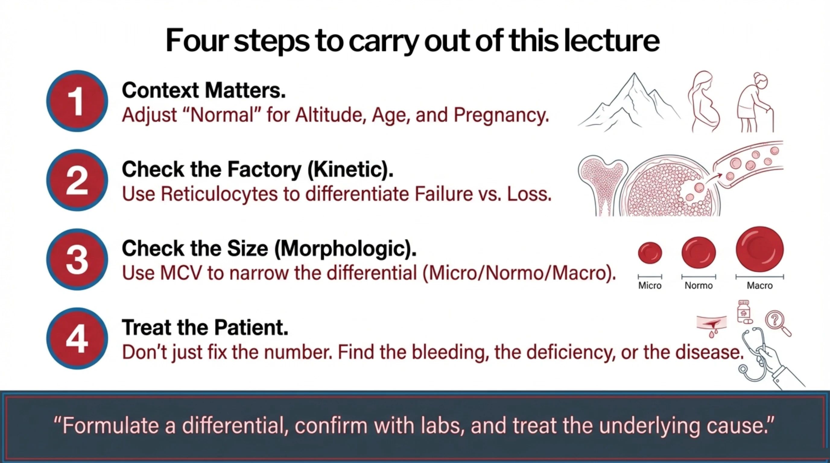Four-point numbered summary of the diagnostic approach to anemia, ending with a quote banner.