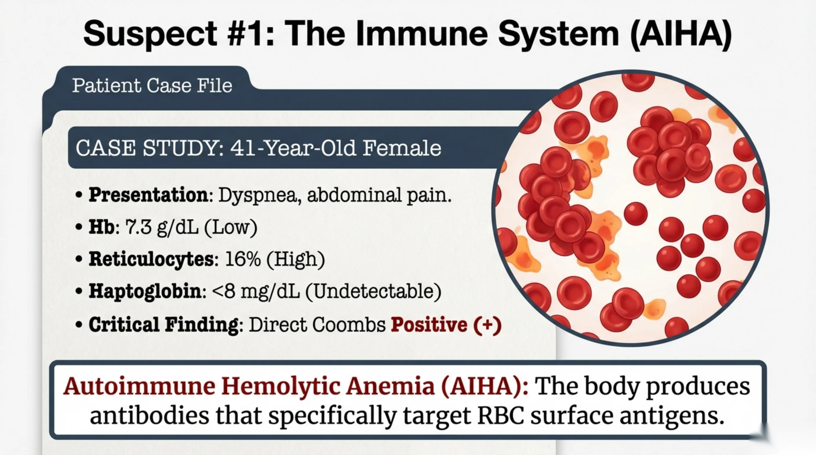 Patient case file for a 41-year-old female with a microscopy inset showing clumped agglutinated red blood cells.