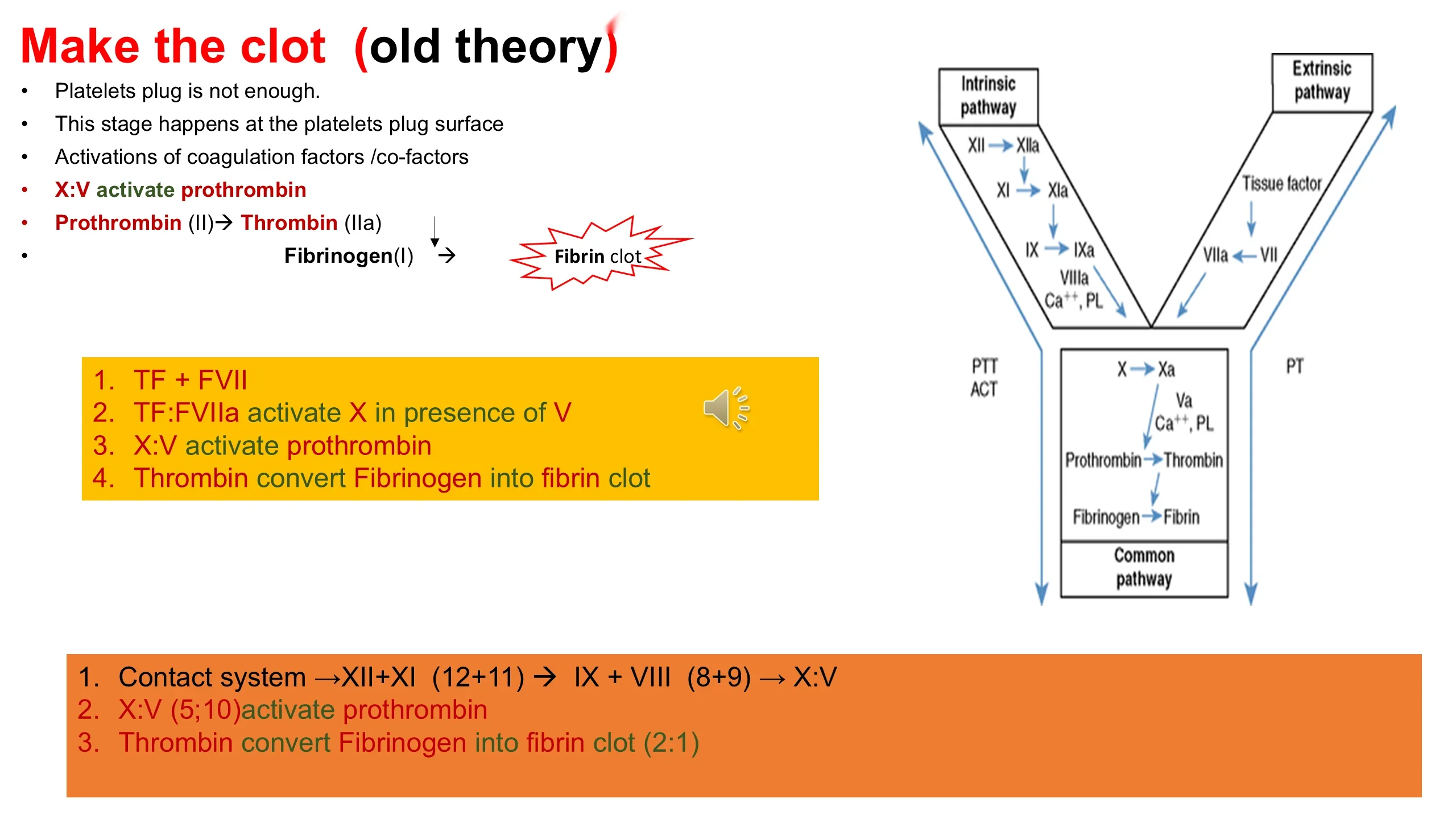 Left: bullet list and yellow box of numbered steps; an orange box at the bottom. Right: classic Y-shaped cascade diagram with intrinsic, extrinsic and common pathways labeled with PTT/ACT and PT.