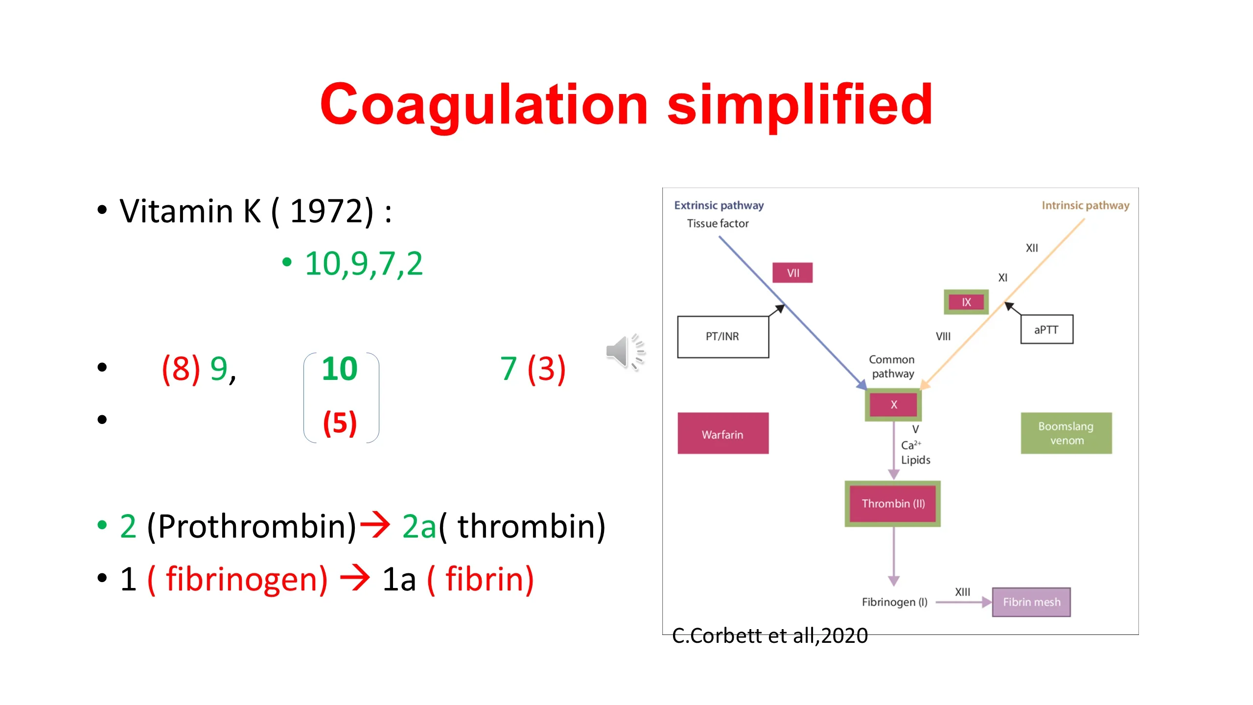 Left: simplified factor lists including Vitamin K factors. Right: colored cascade diagram (Corbett et al, 2020) showing extrinsic/intrinsic/common pathways with PT/INR, aPTT, Warfarin and Boomslang venon annotations.