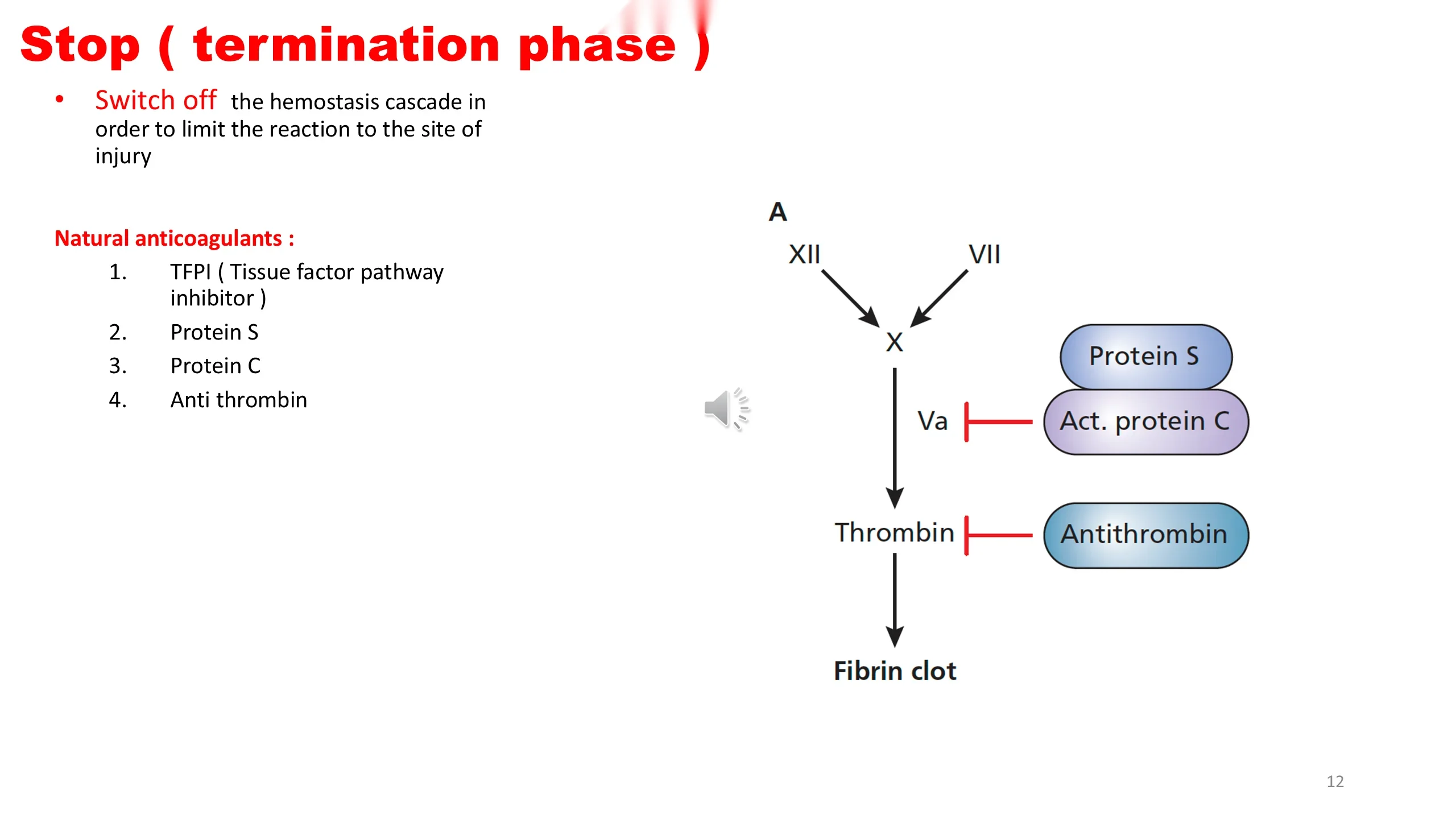 Left: red heading and a numbered list of natural anticoagulants. Right: diagram A showing the cascade (XII, VII to X, Va, Thrombin, Fibrin clot) inhibited by Protein S, Activated protein C, and Antithrombin.