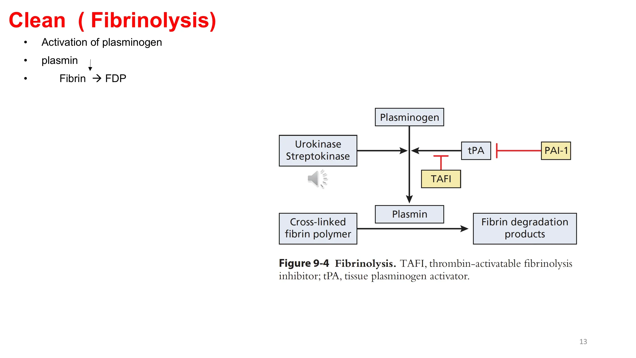 Left: red heading with three bullets on plasminogen activation. Right: Figure 9-4 fibrinolysis diagram with plasminogen converted to plasmin and inhibitors TAFI and PAI-1.