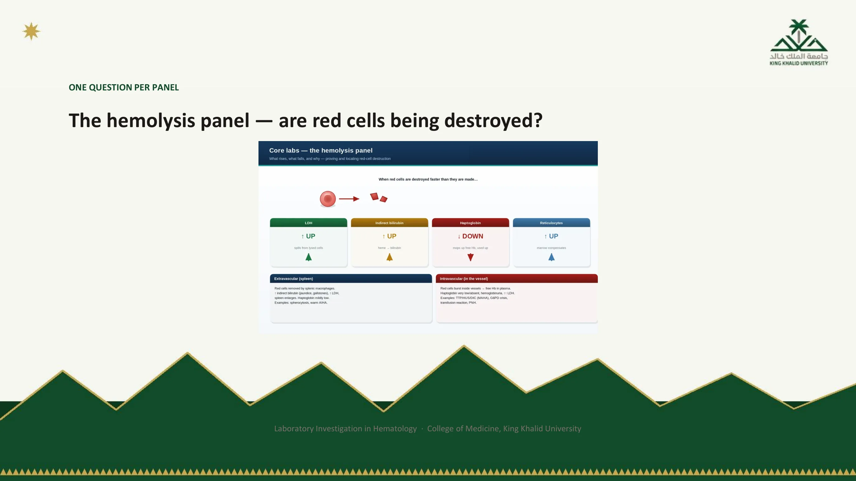 Figure reproducing a handbook page on the hemolysis panel, showing which results go up and which go down when red cells are being destroyed, with the direct antiglobulin test splitting immune from non-immune causes.