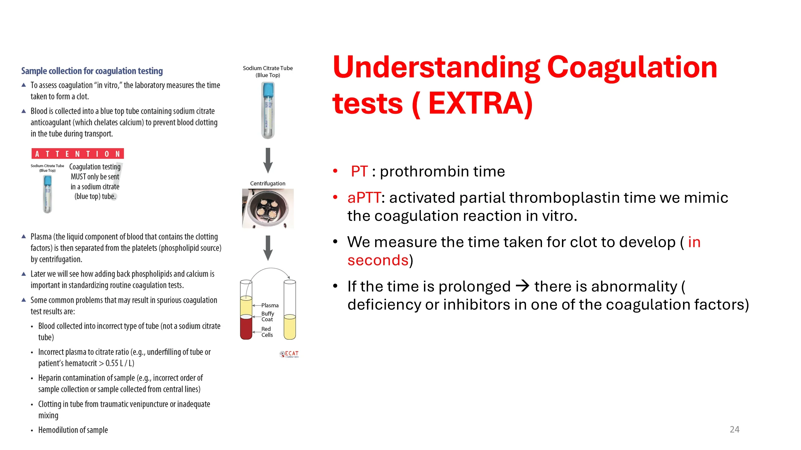 Slide with a diagram of coagulation sample collection (sodium citrate blue-top tube, centrifugation into plasma/buffy coat/red cells) beside bullet points defining PT and aPTT and how prolonged clotting times indicate abnormality.