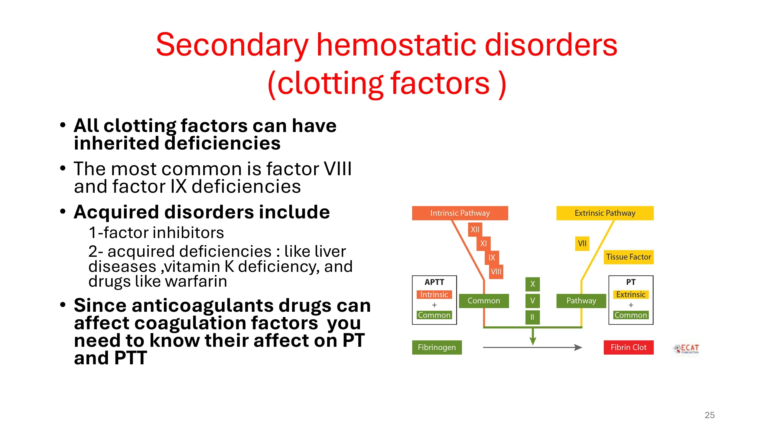 Slide listing inherited and acquired clotting factor disorders beside a color-coded coagulation cascade diagram showing the intrinsic (APTT), extrinsic (PT), and common pathways converging on fibrin clot.