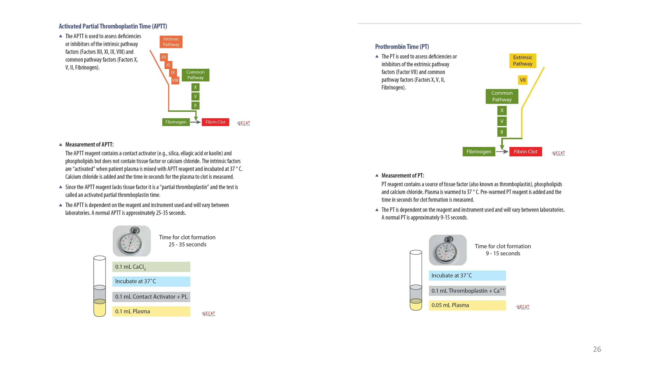 Two-column reference slide detailing the APTT (intrinsic/common pathway, ~25-35 seconds) and PT (extrinsic/common pathway, ~9-15 seconds), each with a cascade diagram and a labeled reaction-tube layering the reagents.