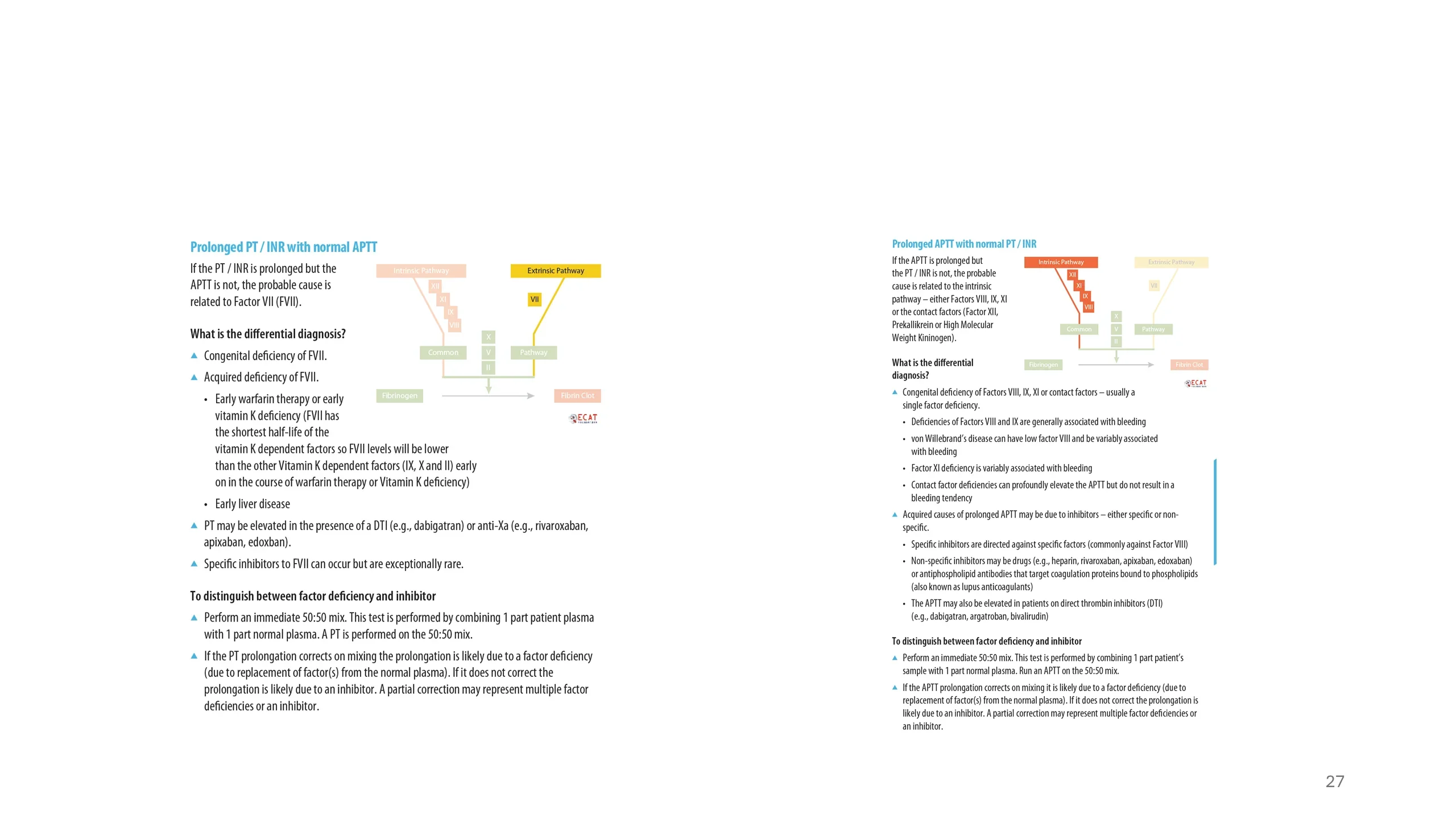 Two-column reference slide contrasting the differential diagnosis of an isolated prolonged PT/INR (Factor VII) versus an isolated prolonged APTT (intrinsic factors), each with a highlighted cascade diagram and mixing-study interpretation.
