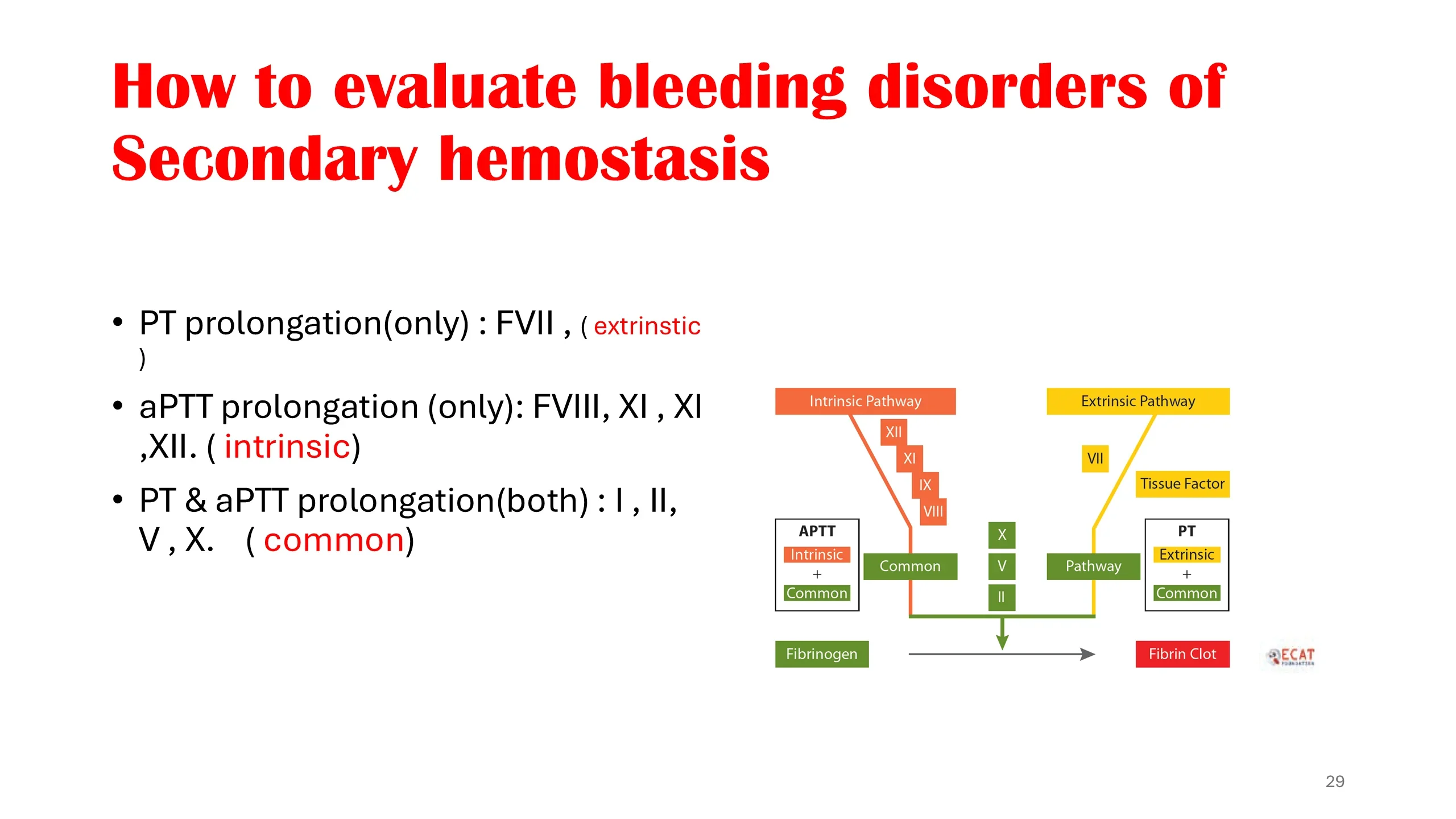 Slide mapping isolated versus combined PT/aPTT prolongation to the extrinsic, intrinsic, and common pathway factors, beside a color-coded coagulation cascade diagram.
