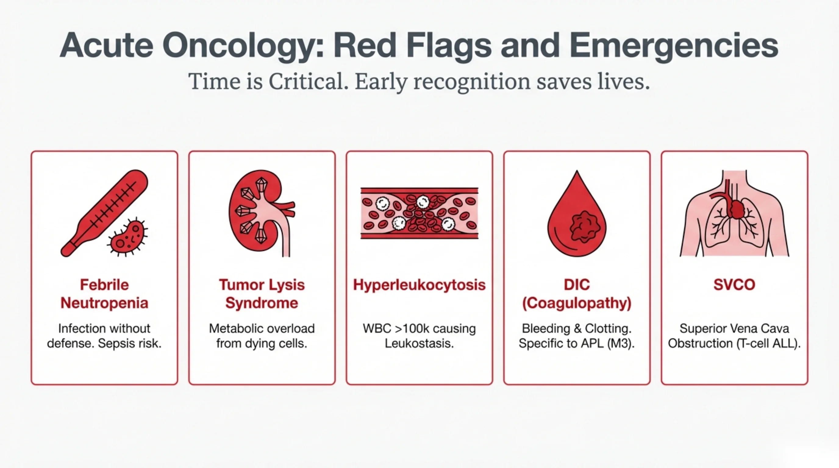 Five icon cards across the slide naming acute leukemia emergencies, each with a short descriptor.
