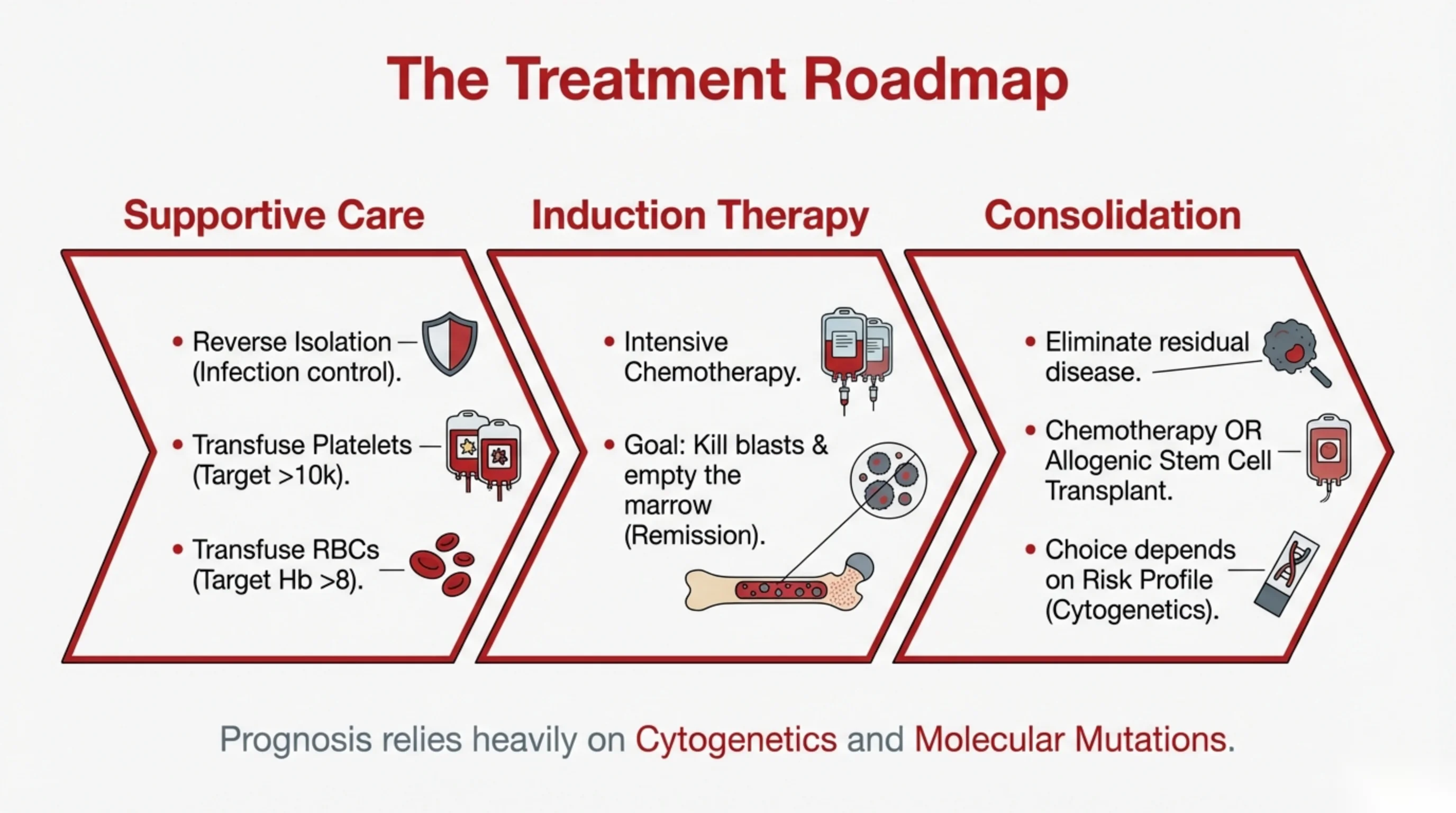 Three chevron arrows in sequence labeled Supportive Care, Induction Therapy, and Consolidation, each with bulleted actions and icons.