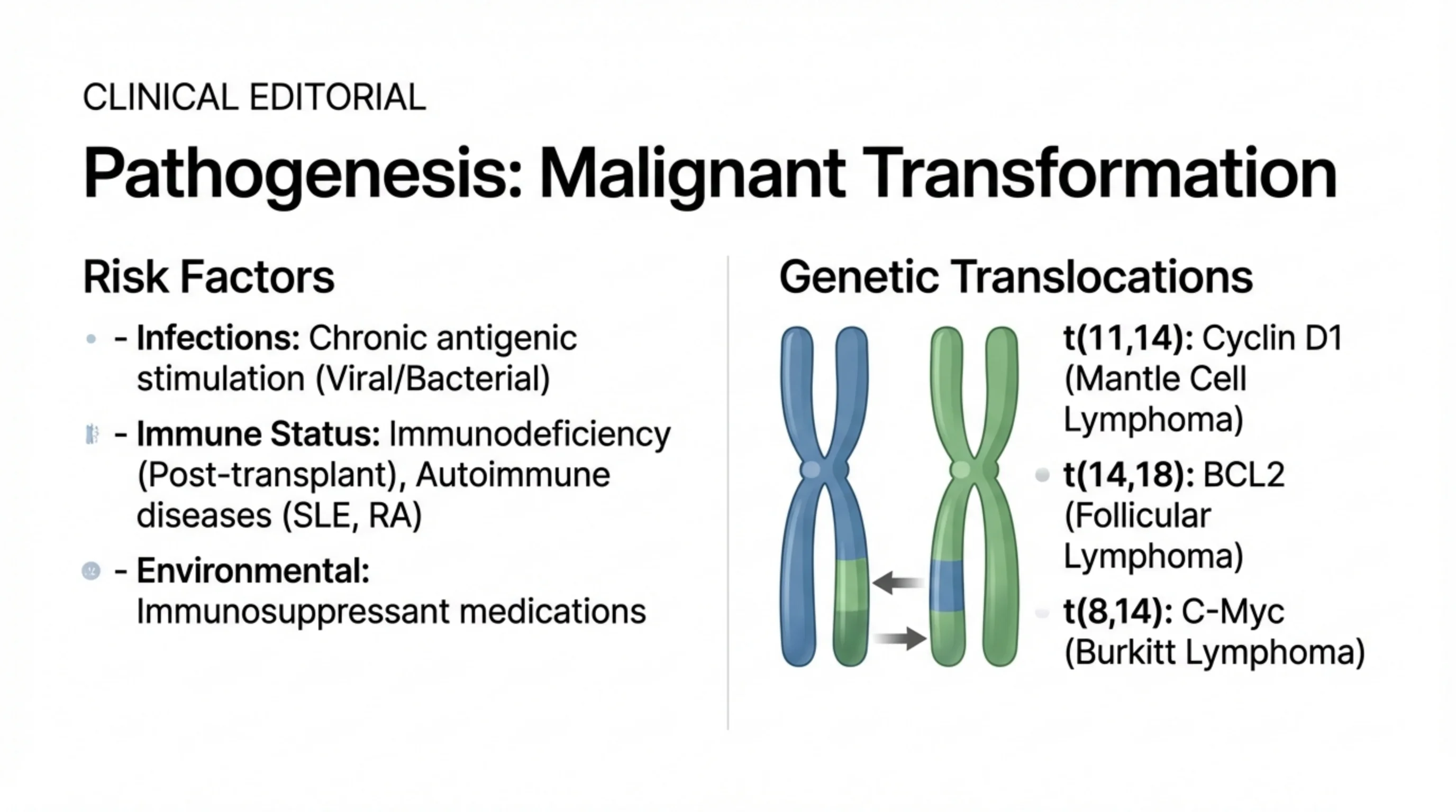 Two-column slide listing risk factors on the left and, beside a pair of chromosome illustrations, key genetic translocations on the right.
