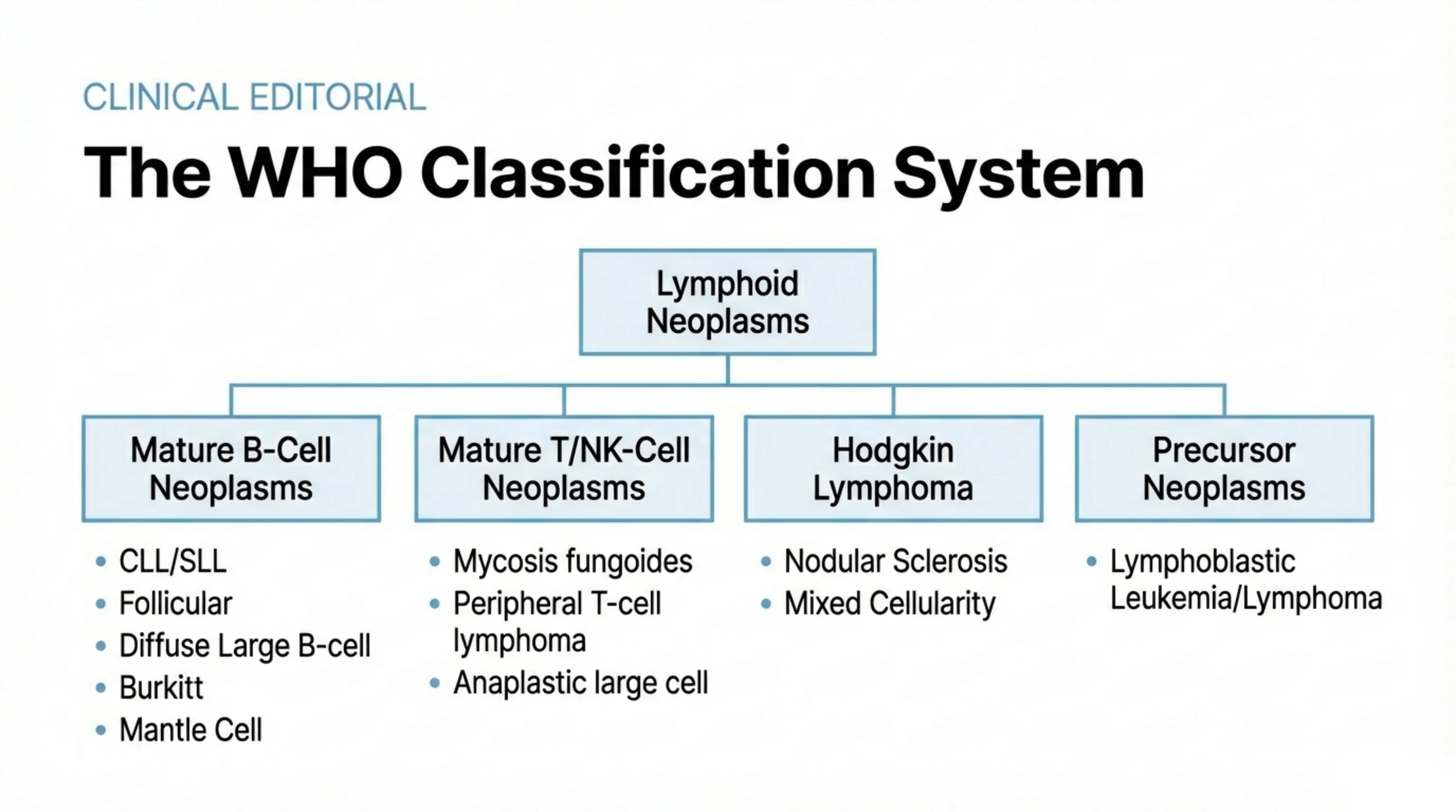 Hierarchy diagram with Lymphoid Neoplasms at the top branching into four categories, each with a bulleted list of example entities.