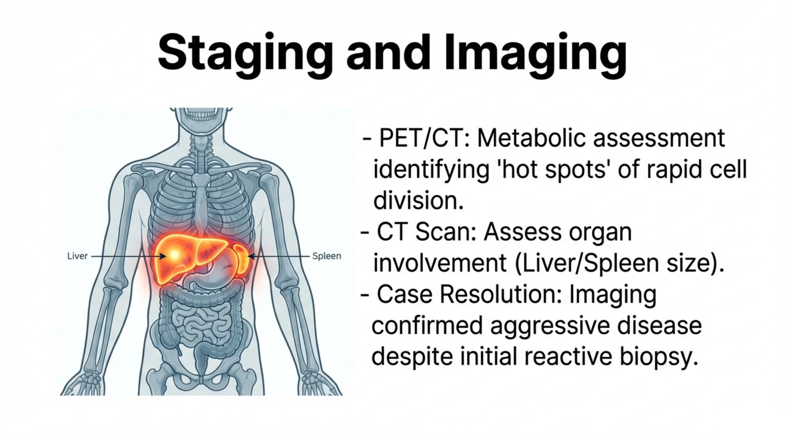 Anatomical skeleton illustration with glowing liver and spleen labeled, beside a bulleted list on imaging modalities and case resolution.
