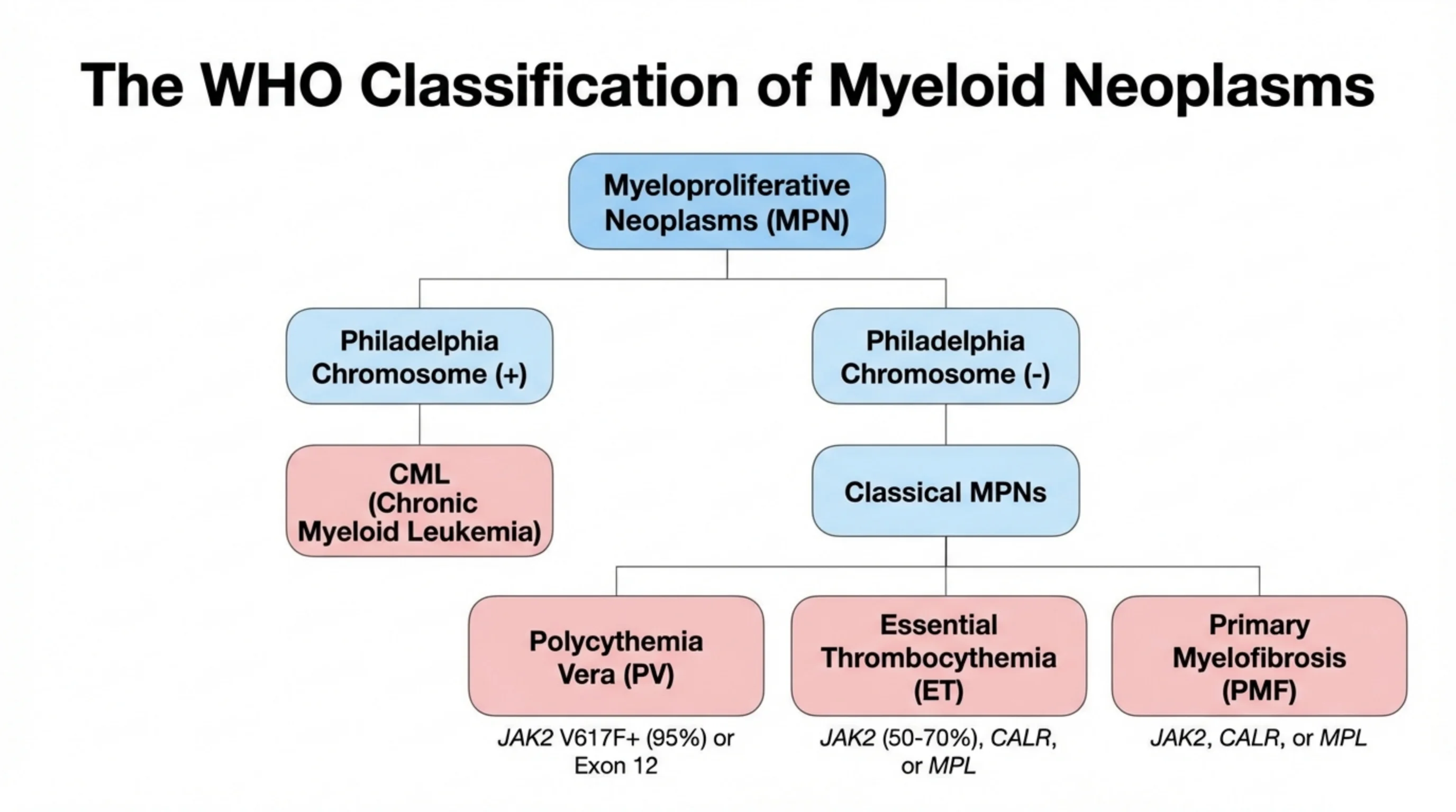 Flowchart classifying myeloproliferative neoplasms by Philadelphia chromosome status into CML and the classical Ph-negative MPNs.