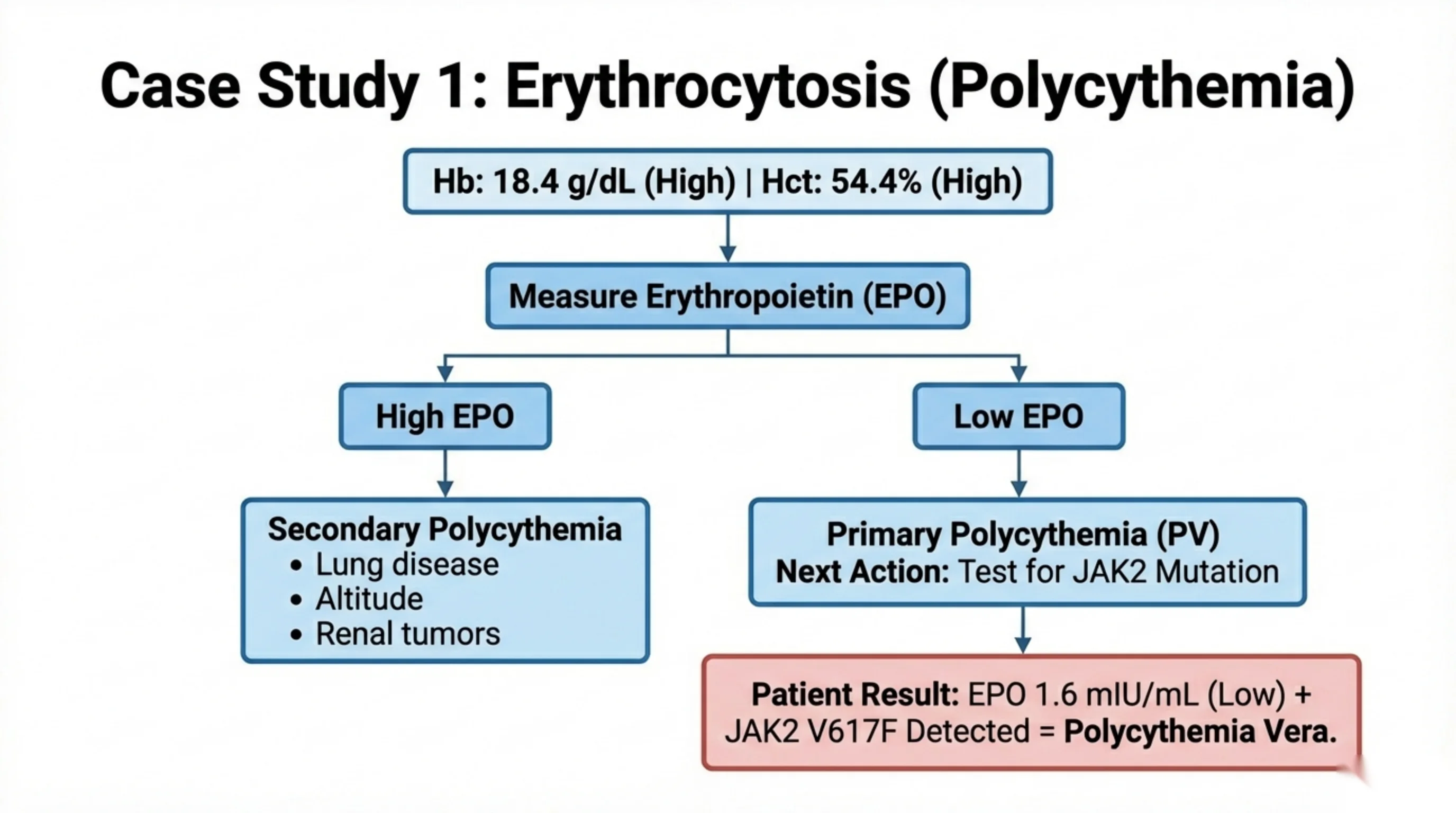 Diagnostic flowchart for high hemoglobin using erythropoietin level to separate secondary from primary polycythemia, ending in a JAK2-positive diagnosis.