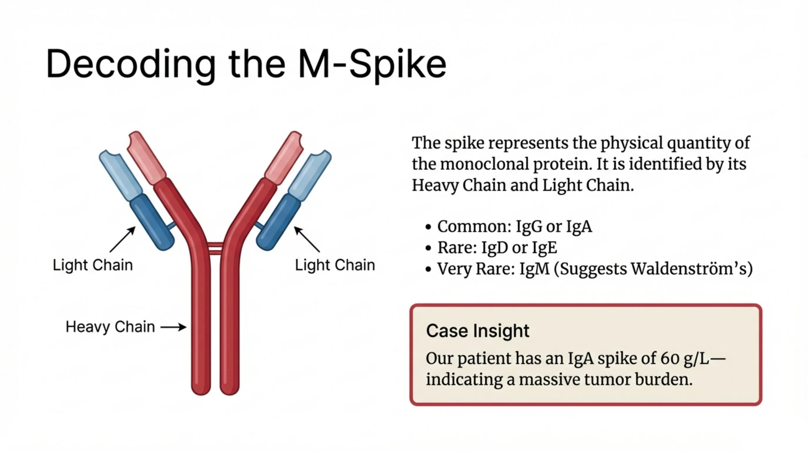 Diagram of an antibody in Y-shape with labeled Heavy Chain and Light Chain regions, alongside explanatory text and a Case Insight callout box.
